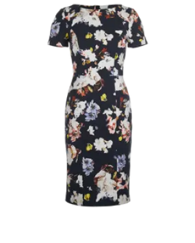 Erdem Joyce Dress