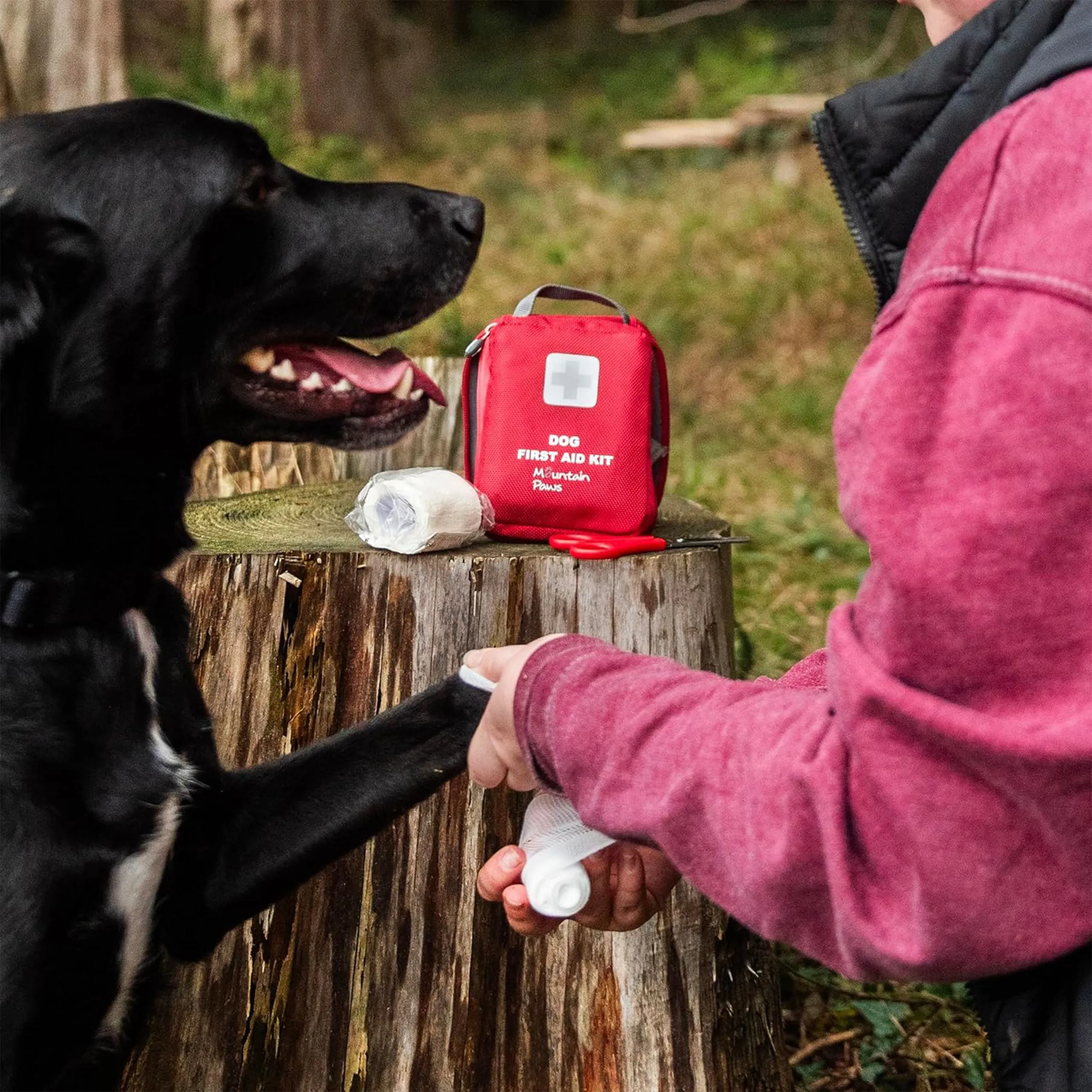 Mountain Paws Dog First Aid Kit