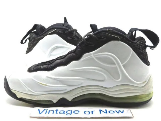 Nike Total Air Foamposite Max White Black Tim Duncan 200...