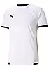 Puma teamLiga Short Sleeve Training T-Shirt