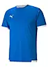 Puma teamLiga Short Sleeve Training T-Shirt