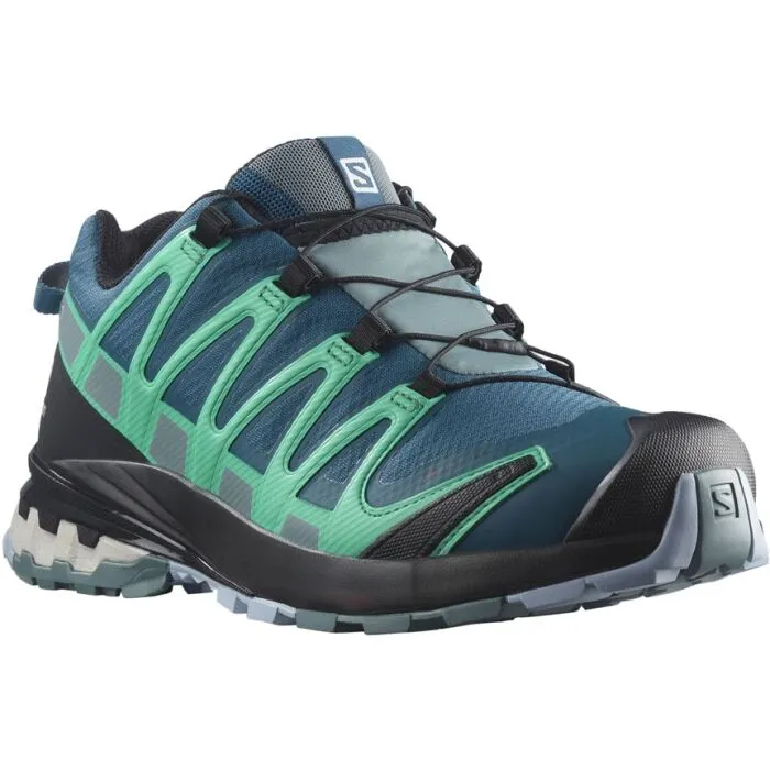 Salomon XA PRO 3D V8 GTX W